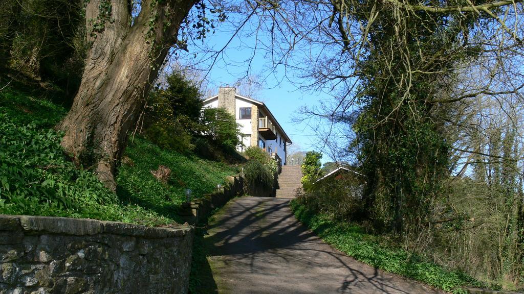 Belvedere House Bed And Breakfast Lydbrook Dış mekan fotoğraf